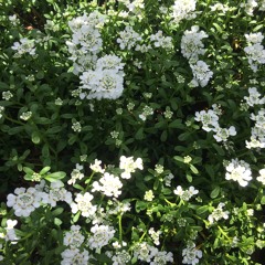 Technicolor Beat// Oh Wonder