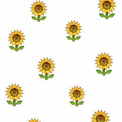 Sunflower Shawty (Prod. Ccapöne)
