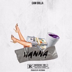 Cam Dolla - Wanna [Prod. By Jay Spinnah]