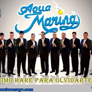 AGUA MARINA - COMO HARE PARA OLVIDARTE (VOL. 22)