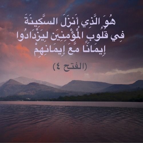 السكينة نور وروح وقوة- د. أحمد عبدالمنعم