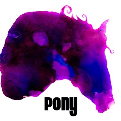 Pony