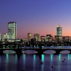 Concrete Jungle