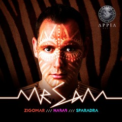 Mr Sam - Sparadra (Original Mix)