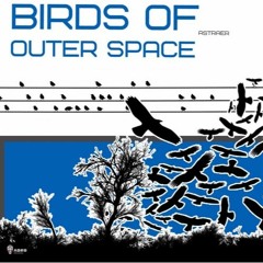 Astraer - Birds Of Outer Space (WittyProd Remix)