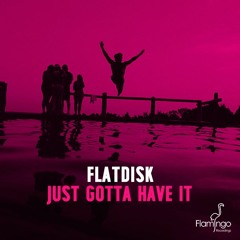 Flatdisk - Just Gotta Have It (Preview) [OUT NOW]