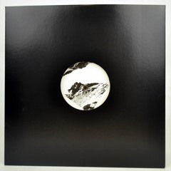 P13004: DIVIDED - BLACK SWALLOWER // INTERZONE