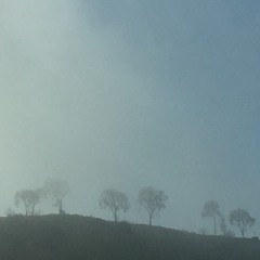 Ambient
