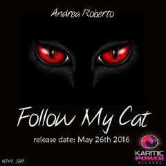 Follow My Cat [Preview] // Release: May 27th 2016 // Karmic Power Records