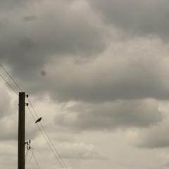 Guitar piece April 16