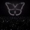 BTS(방탄소년단)-Butterfly cover (prologue ver)
