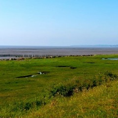 the quiet of the Gwent Levels