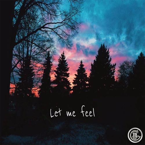 Let Me Feel (Pilgrims Flip)