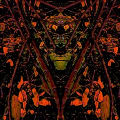 Back With Another One