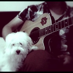 Megadeth - Tornado of Souls *solo cover*