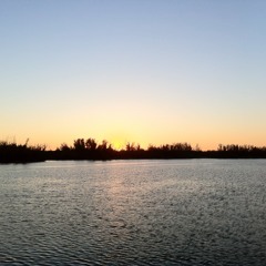 01  Solace By Joplin