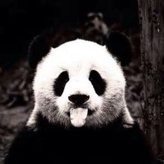 Steve Aoki & Deorro - Little Secret