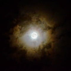 Acquainted With The Night