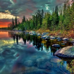 Ambrosia (Original Mix)