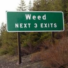 Weed Witch,  Guinea-Version with Baryton Lion