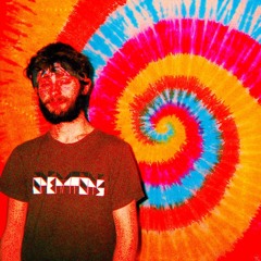 The Trip-Hopper (Brandon Young)