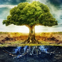 High-Spirited InnerSelf [Psybient / Electro Psybient / Deep Trance Music Mix]