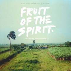 THE FRUIT MKT: SPIRITUAL NOURISHMENT