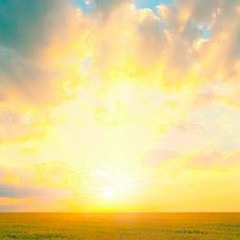 Sonnenschein