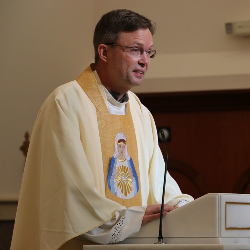 Stream Father Flanagan Memorial Mass Homily by SOLT | Listen online for ...