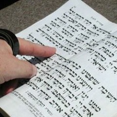Can a person use english to pray in Amidah or Tehillim?