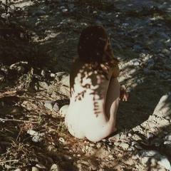 TAPE 006  "The Summerbird"