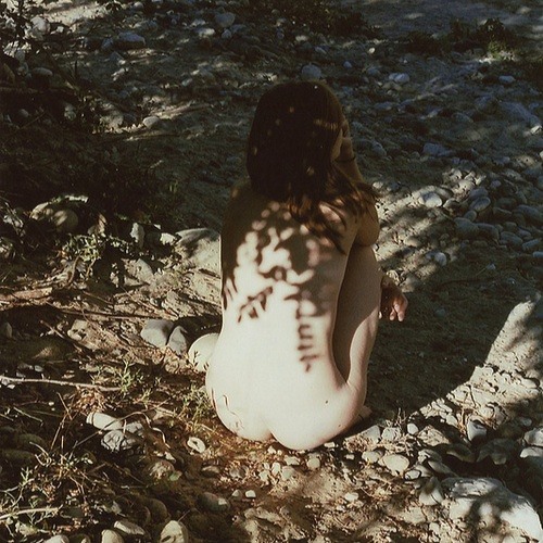 TAPE 006  "The Summerbird"