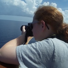 All the Feels Playlist