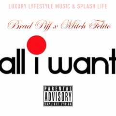 All I Want Feat. Mitch Felito