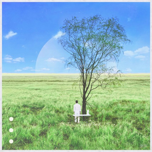 No Identity - Sound of flowering
