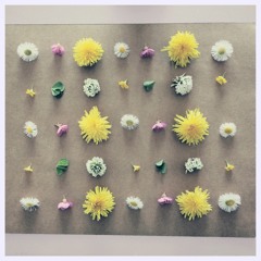 a collage of cut up flowers