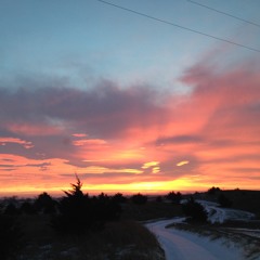 Feedlot Frenzy House