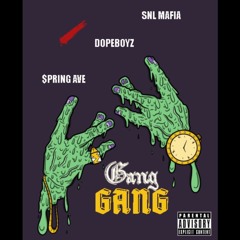 GANG GANG - SNL Mafia feat. Vinny West x NoTax x $PRING AVE(Prod by. Stitch Jones)