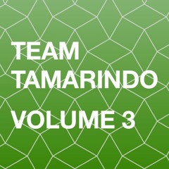 Team Tamarindo Vol 3
