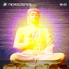 Suduaya - Microcosmos Chillout & Ambient Podcast 040