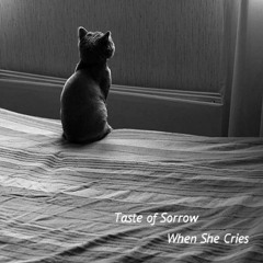 Taste Of Sorrow - When She Cries (Original Mix)