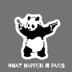 Lamalize it ! - What Happen in Paris ( Greenadub Remix )