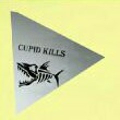 Chiodos-no hardcore dancing in the living room (Cupid death Remix)
