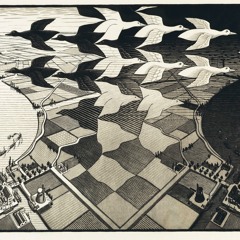 Moog Model 15 Birds + Animoog sequence