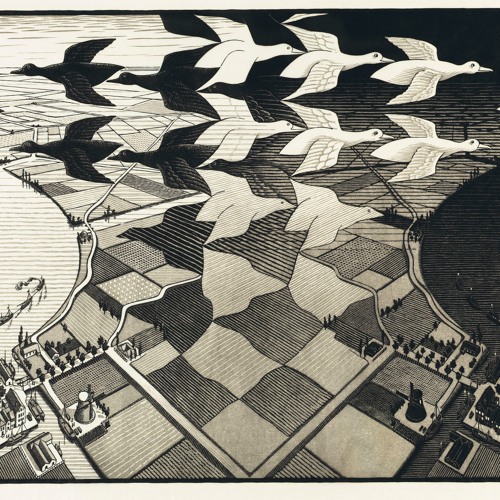 Moog Model 15 Birds + Animoog sequence