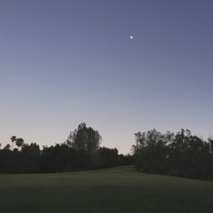 Silenced By The Gold