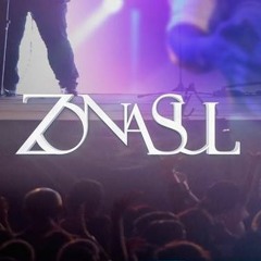 DVD Zona Sul 10 Anos - Deixe o som te levar