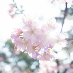 2015.03.15.生命的日子 - 生命的帆(主的教會特頌)