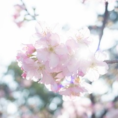 2015.03.15.生命的日子 - 主的帆船(日出藝術團)
