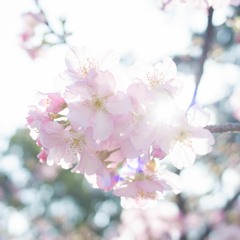 2014這時代的聖餐式聖歌隊 - 榮耀的主